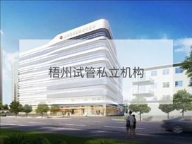 梧州私立試管機構(gòu)