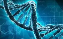 加州生育醫(yī)療中心試管嬰兒費用