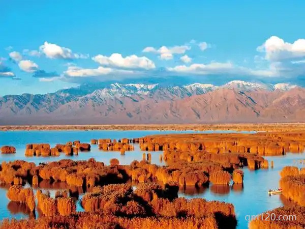 寧夏不孕不育醫(yī)院哪個好