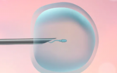 石家莊市試管專(zhuān)科醫(yī)院試管嬰兒價(jià)格