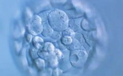 福建省助孕機構(gòu)保健院試管嬰兒費用