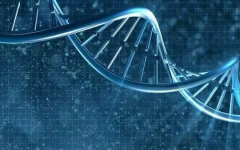 怎么申請(qǐng)到泰國(guó)做試管