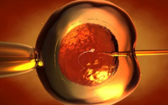 泰國試管嬰兒價格多少