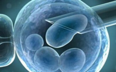 上海德佳醫(yī)院試管嬰兒費用