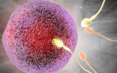 41歲還能做試管嬰兒?jiǎn)?>
            <div   id=