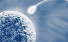 俄羅斯阿瓦彼得醫(yī)院試管多少錢