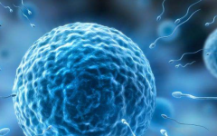 邢臺市第三醫(yī)院試管嬰兒費用