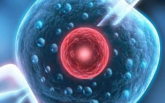 上海市東光醫(yī)院試管嬰兒費(fèi)用