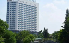 比較出名試管醫(yī)院