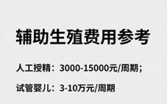 人工受孕需要多少錢