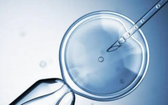 泰國試管嬰兒治療保險