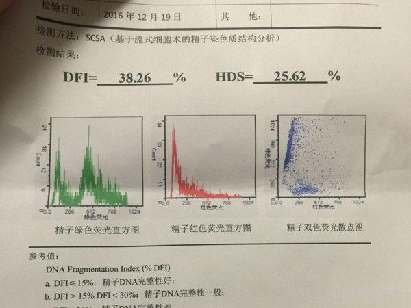 dna碎片率高可以做試管嗎