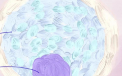 孝感市婦幼保健院試管嬰兒費(fèi)用