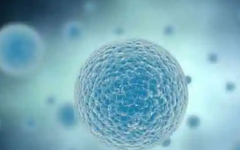 泰國創(chuàng)世紀生育中心試管嬰兒費用