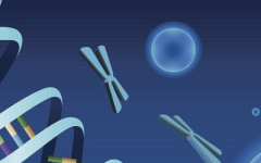 廈門市中醫(yī)院試管嬰兒攻略及費(fèi)用