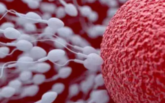 北京昭陽醫(yī)院做試管嬰兒成功幾率有多大