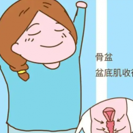 盆底肌修復(fù)