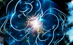 吉林省延邊婦幼保健院做試管多少錢