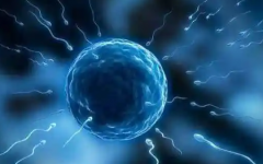 健康夫妻可以做試管嬰兒?jiǎn)?>
            <div   id=