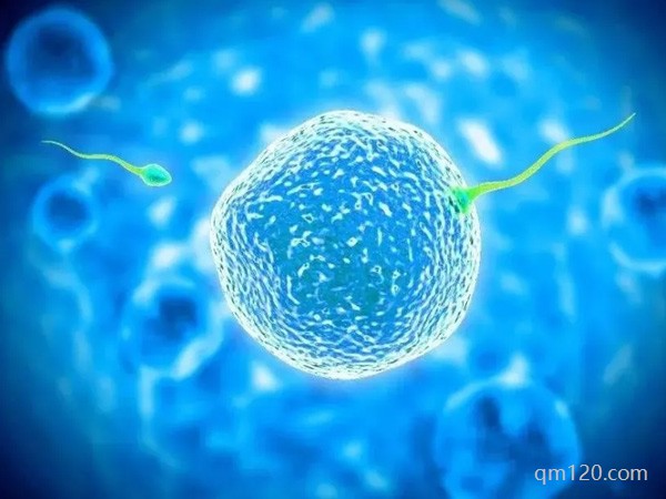 試管做了4次沒(méi)成功