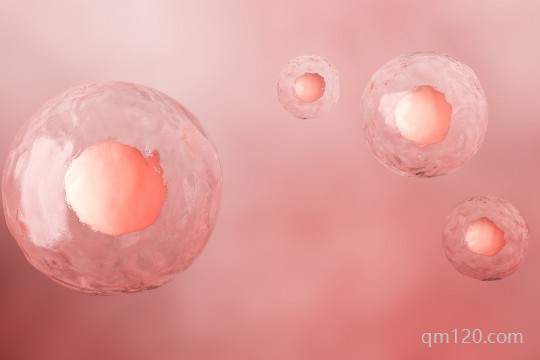 國內(nèi)10大助孕機構(gòu)