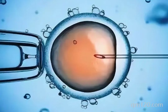 促排卵14個為什么一個沒配成功