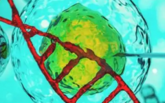 汕頭市中心醫(yī)院做試管嬰兒多少錢