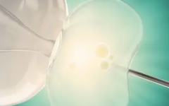 北京301醫(yī)院做試管成功率和價格