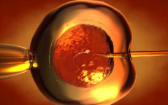 東莞東華醫(yī)院試管收費(fèi)標(biāo)準(zhǔn)