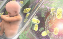 長沙生殖醫(yī)院試管嬰兒成功幾率有多大