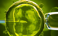 上饒東信第五醫(yī)院試管嬰兒費用