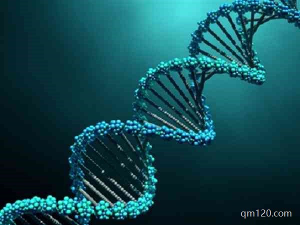 染色體多態(tài)性要做三代試管嗎