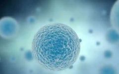 沈陽美德因婦兒醫(yī)院試管生孩子多少錢