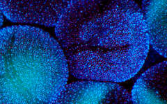 西安交大一附院做試管嬰兒成功率怎么樣