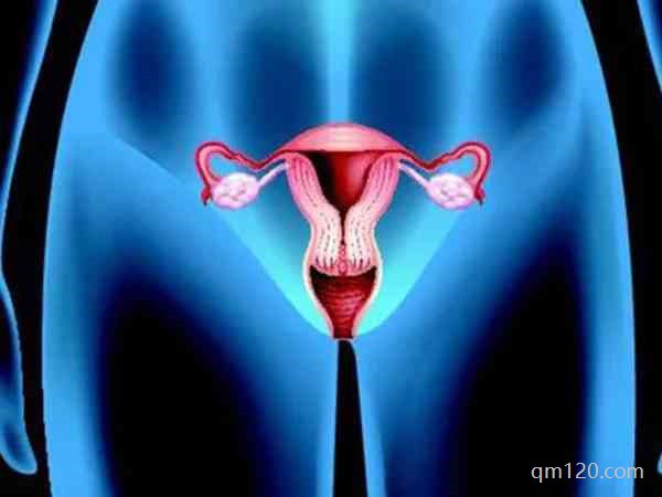 子宮移植手術(shù)哪個(gè)醫(yī)院有