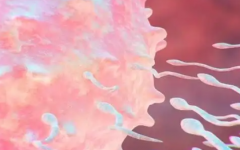 西藏阜康醫(yī)院試管多少錢