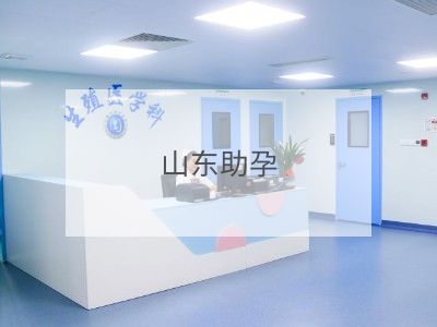 山東助孕