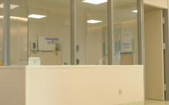 泰國皇家生殖醫(yī)院rfg試管嬰兒