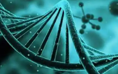 海軍安慶醫(yī)院試管多少錢