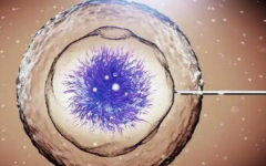 徐州市中醫(yī)院試管嬰兒費(fèi)用