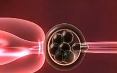 廣東梅州市婦幼保健試管多少錢