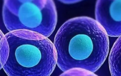 泰國做試管嬰兒多少錢