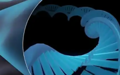 荊州市中心醫(yī)院做試管多少錢(qián)一次