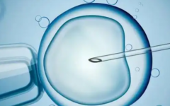 錦州醫(yī)科大學(xué)附屬第一醫(yī)院試管多少錢