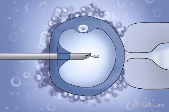 只有三個卵泡促排卵的幾率