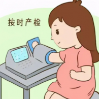 孕期檢查時(shí)間表