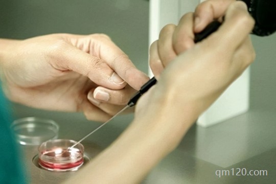 試管嬰兒進(jìn)周需要做哪些檢查