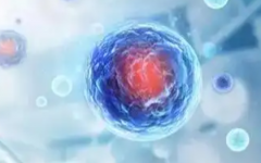 高齡能做試管嬰兒嗎