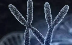 試管三代可以排除哪些遺傳病