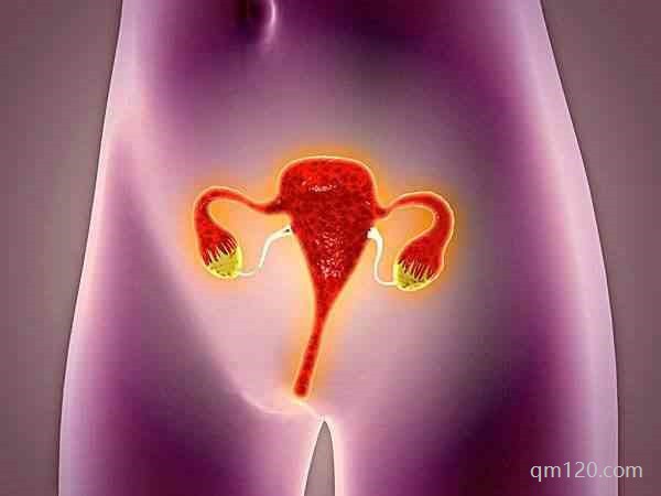 人造子宮哪個(gè)醫(yī)院有